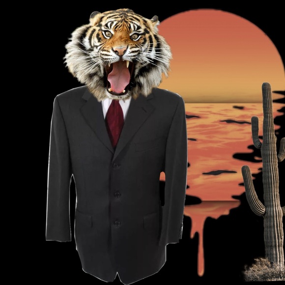 ⏸️HOLD⏸️ CANALI CHARCOAL GRAY 100% WOOL BLAZER SIZE 50 - Picture 2 of 8